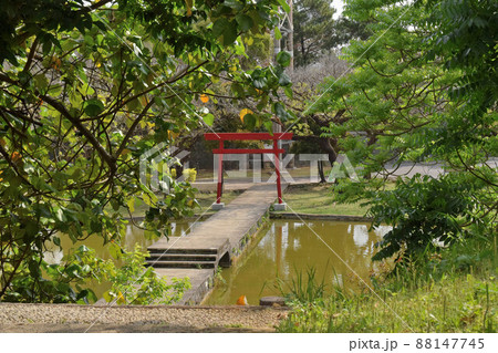 奥武山公園の修景池の鳥居 奥武山公園の修景池の鳥居 88147745