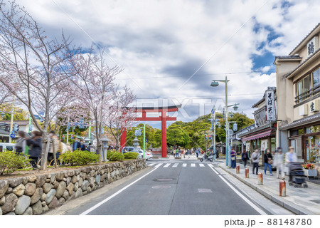 神奈川県の風景 春の鎌倉 神奈川県の風景 春の鎌倉 88148780