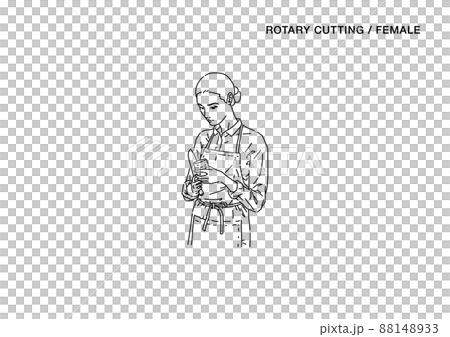 かつらむきをする女性のイラスト（線） 88148933