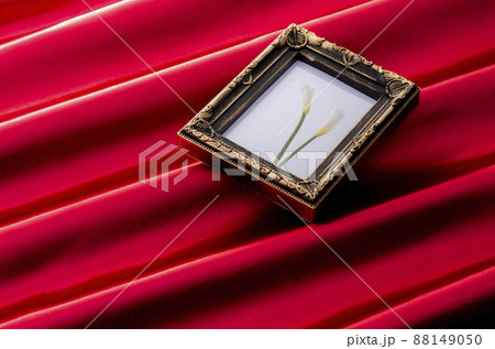 The photograph of the flower which I took and red 88149050