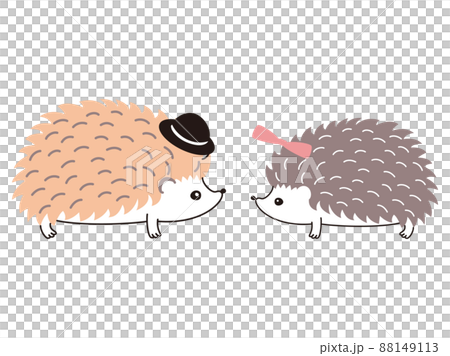 Hedgehogs facing each other with hats and ribbons Hedgehogs facing each other with hats and ribbons 88149113