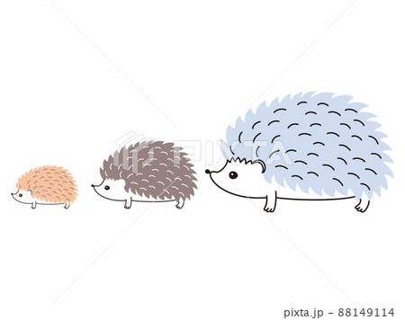 並んで歩く三匹のハリネズミのイラスト素材 [88149114] - PIXTA