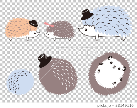 Fashionable hedgehog set in various poses 88149116