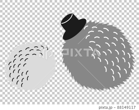 戴著大禮帽的刺猬的後視圖，黑白相間 88149117