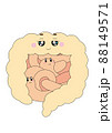 小腸と大腸・small intestine and large intestine 小腸と大腸・small intestine and large intestine 88149571