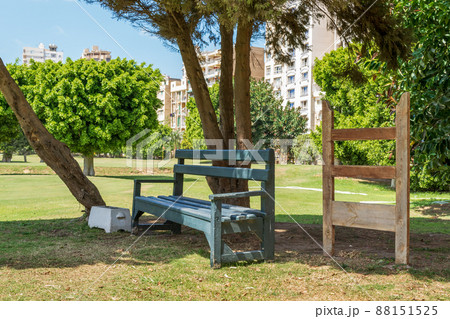 Wooden bench under tree in city park 88151525