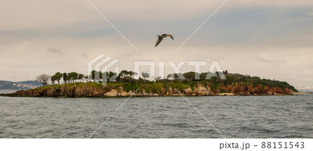 View of Sedef Island, known as Mother of Pearl Island,  from the sea of Marmara, near Istanbul, Turkey 88151543