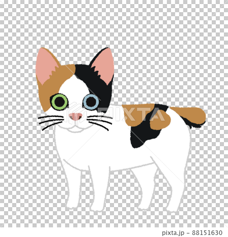Japanese bobtail cat illustration Japanese bobtail cat illustration 88151630