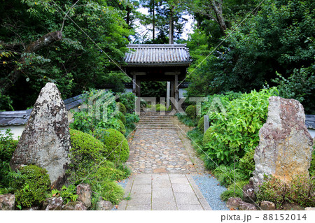 龍潭寺 奥浜名湖　静岡県 88152014