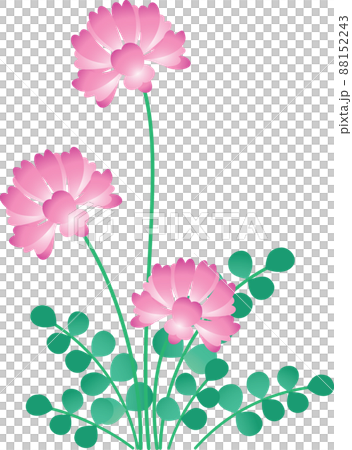 Lotus herb Lotus herb 88152243