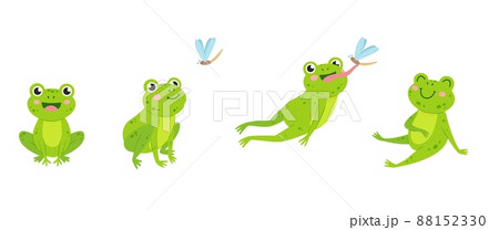 Funny frog. Animal jump to eat fly insect. Green cartoon isolated frogs, wildlife rules. Neoteric water swamp toad hunting and eating, catch with tongue vector scene 88152330