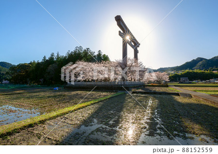 春の大斎原 88152559