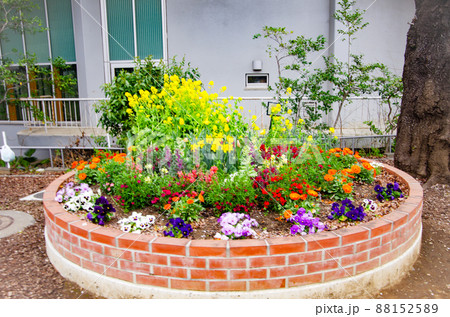 花壇 88152589