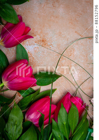 Row of tulips on wooden background with space for message. Mother's Day background. Top view 88152796