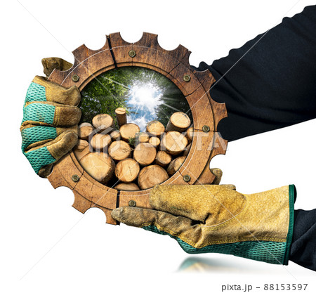 Gloved Hands Holding a Wooden Cogwheel with Tree Trunks 88153597