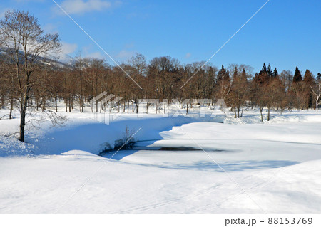 快晴の雪深い妙高高原いもり池 88153769