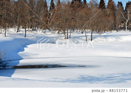 快晴の雪深い妙高高原いもり池 88153771