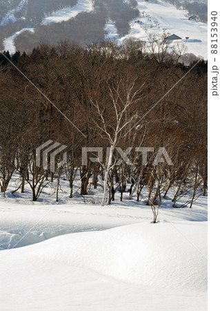 雪深い妙高高原いもり池と杉ノ原スキー場 雪深い妙高高原いもり池と杉ノ原スキー場 88153940