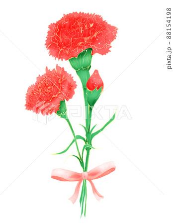 リボンでプレゼント風に結んだカーネーションのイラスト素材