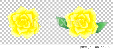 黄色いバラの花 葉がある薔薇とのセットイラスト 黄色いバラの花 葉がある薔薇とのセットイラスト 88154200