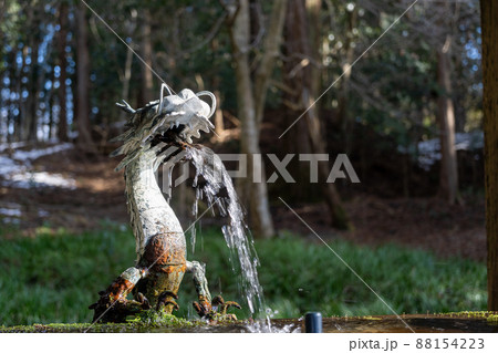 冬の赤城神社（三夜沢町） 88154223