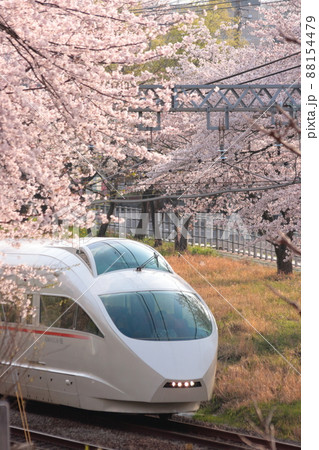 満開に咲き誇る桜のトンネルの中を駆け抜ける小田急ロマンスカーVSE_2010/4/6撮影 88154479