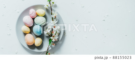 Top view Colored Easter eggs and blooming tree branch on the gray plate with flower petals on the white table. Happy Easter and springtime wide banner. Minimalism. Selective focus. Copy space. Top view Colored Easter eggs and blooming tree branch on the gray plate with flower petals on the white table. Happy Easter and springtime wide banner. Minimalism. Selective focus. Copy space. 88155023
