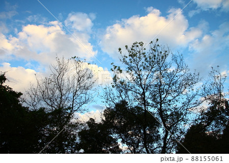 大空 景色 風景 88155061