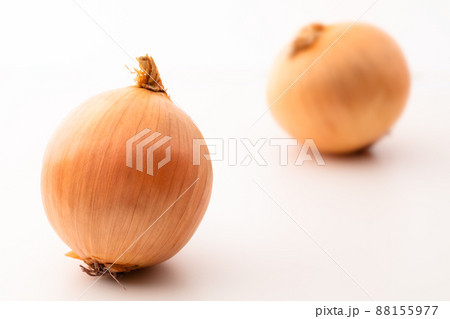 玉ねぎ 88155977