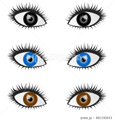 カラフルなカラーコンタクトをした女性の目のイラスト カラフルなカラーコンタクトをした女性の目のイラスト 88156843