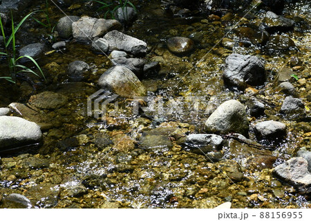大小さまざまな石がある綺麗な流れの川の写真素材