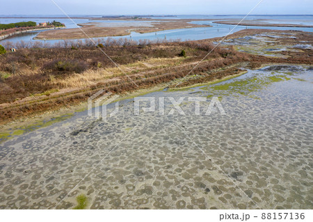 Shallow shore of Torcello island, Italy with mudflats and salt marsh Shallow shore of Torcello island, Italy with mudflats and salt marsh 88157136