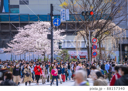 日本の東京都市景観 解除されたまん延防止だが、いまだ6波が続くコロナ禍…渋谷で桜が満開…=3月28日 日本の東京都市景観 解除されたまん延防止だが、いまだ6波が続くコロナ禍…渋谷で桜が満開…=3月28日 88157340