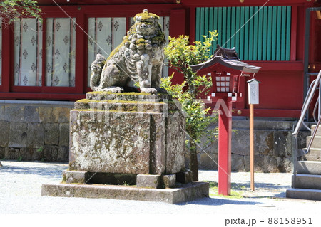 九頭龍神社新宮の入口に置かれた立派な狛犬 88158951