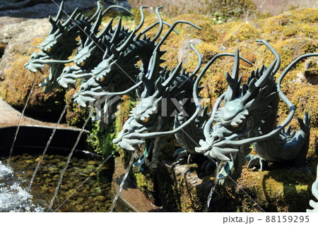 九頭龍神社の龍神の口から流れ出る神聖な水 88159295