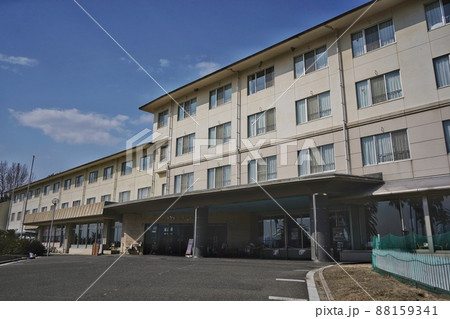 【広島県】うさぎの楽園大久野島 【広島県】うさぎの楽園大久野島 88159341