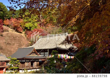 岡寺（龍蓋寺）の秋風景 88159798
