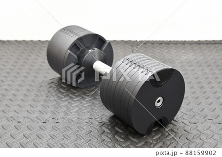 筋肉トレーニング用のダンベル 筋肉トレーニング用のダンベル 88159902