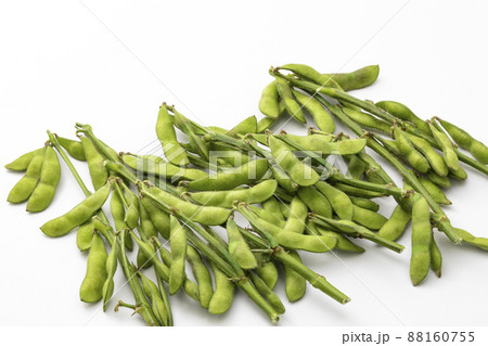 茎付きの枝豆 88160755