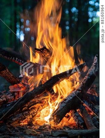 Burning fire. The bonfire burns in the forest. Texture of burning fire. Bonfire for cooking in the forest. Burning dry branches. Tourist fire in the forest. Texture of burning branches Burning fire. The bonfire burns in the forest. Texture of burning fire. Bonfire for cooking in the forest. Burning dry branches. Tourist fire in the forest. Texture of burning branches 88160964