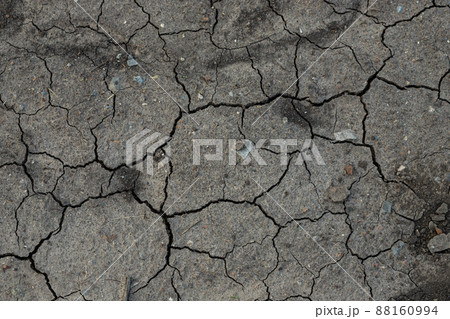 Dry, cracked dirt texture for creative background 88160994