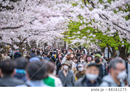 日本の東京都市景観 コロナ禍の中、桜が満開となり多くの花見客で賑わう千鳥ヶ淵、高齢者も…＝3月28日 88161275