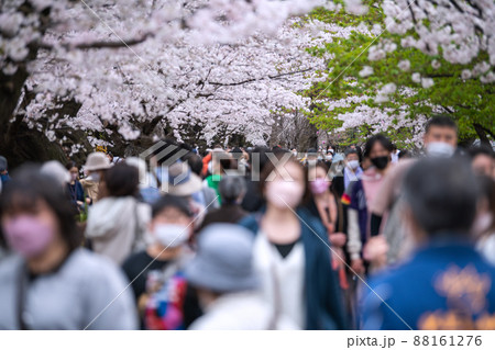 日本の東京都市景観 コロナ禍の中、桜が満開となり多くの花見客で賑わう千鳥ヶ淵、高齢者も…=3月28日 日本の東京都市景観 コロナ禍の中、桜が満開となり多くの花見客で賑わう千鳥ヶ淵、高齢者も…=3月28日 88161276