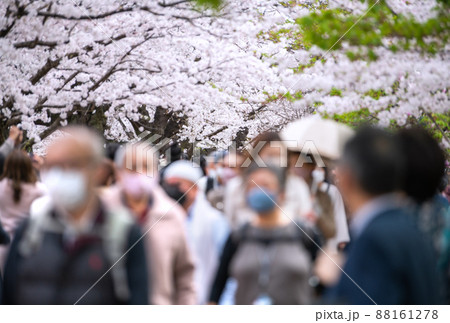 日本の東京都市景観 コロナ禍の中、桜が満開となり多くの花見客で賑わう千鳥ヶ淵、高齢者も…=3月28日 日本の東京都市景観 コロナ禍の中、桜が満開となり多くの花見客で賑わう千鳥ヶ淵、高齢者も…=3月28日 88161278