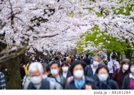 日本の東京都市景観 コロナ禍の中、桜が満開となり多くの花見客で賑わう千鳥ヶ淵、高齢者も…=3月28日 日本の東京都市景観 コロナ禍の中、桜が満開となり多くの花見客で賑わう千鳥ヶ淵、高齢者も…=3月28日 88161284