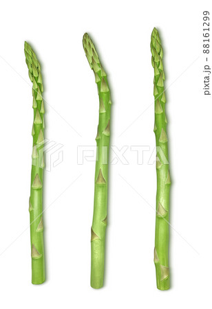 アスパラ アスパラガス イラスト リアル セット 88161299