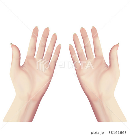 リアル調 女性の両手の掌のイラスト素材