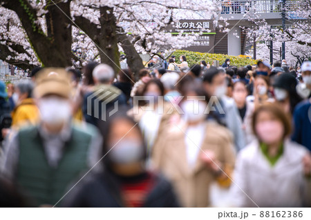 日本の東京都市景観 桜が満開となり多くの花見客で賑わう北の丸公園前=3月28日、九段下駅前から 日本の東京都市景観 桜が満開となり多くの花見客で賑わう北の丸公園前=3月28日、九段下駅前から 88162386