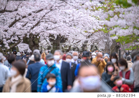 日本の東京都市景観 コロナ禍の中、桜が満開となり多くの花見客で賑わう千鳥ヶ淵、高齢者が…＝3月28日 88162394