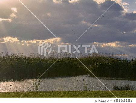 Lake on a bright and hot summer day 88163185